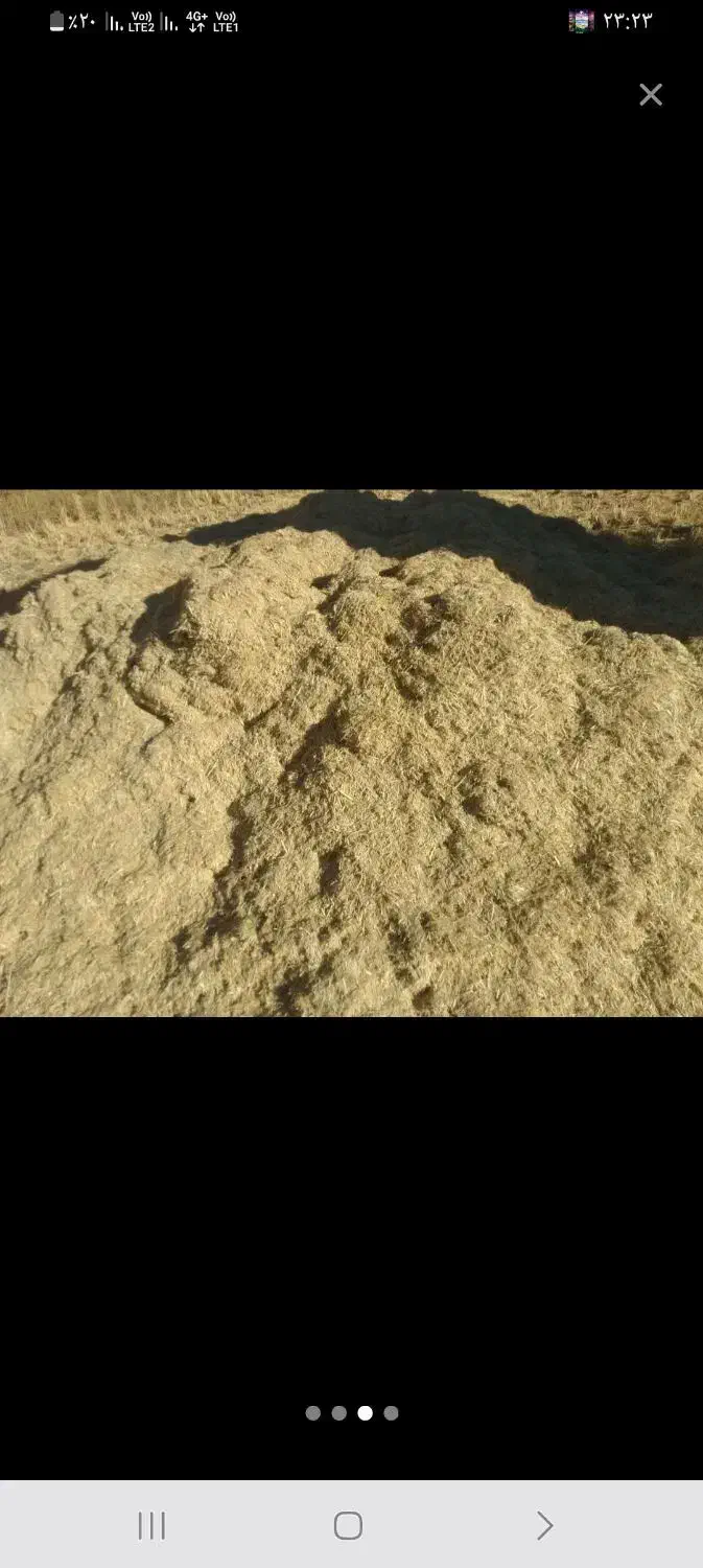 کاه تمیز|حیوانات مزرعه|کوهدشت, |دیوار