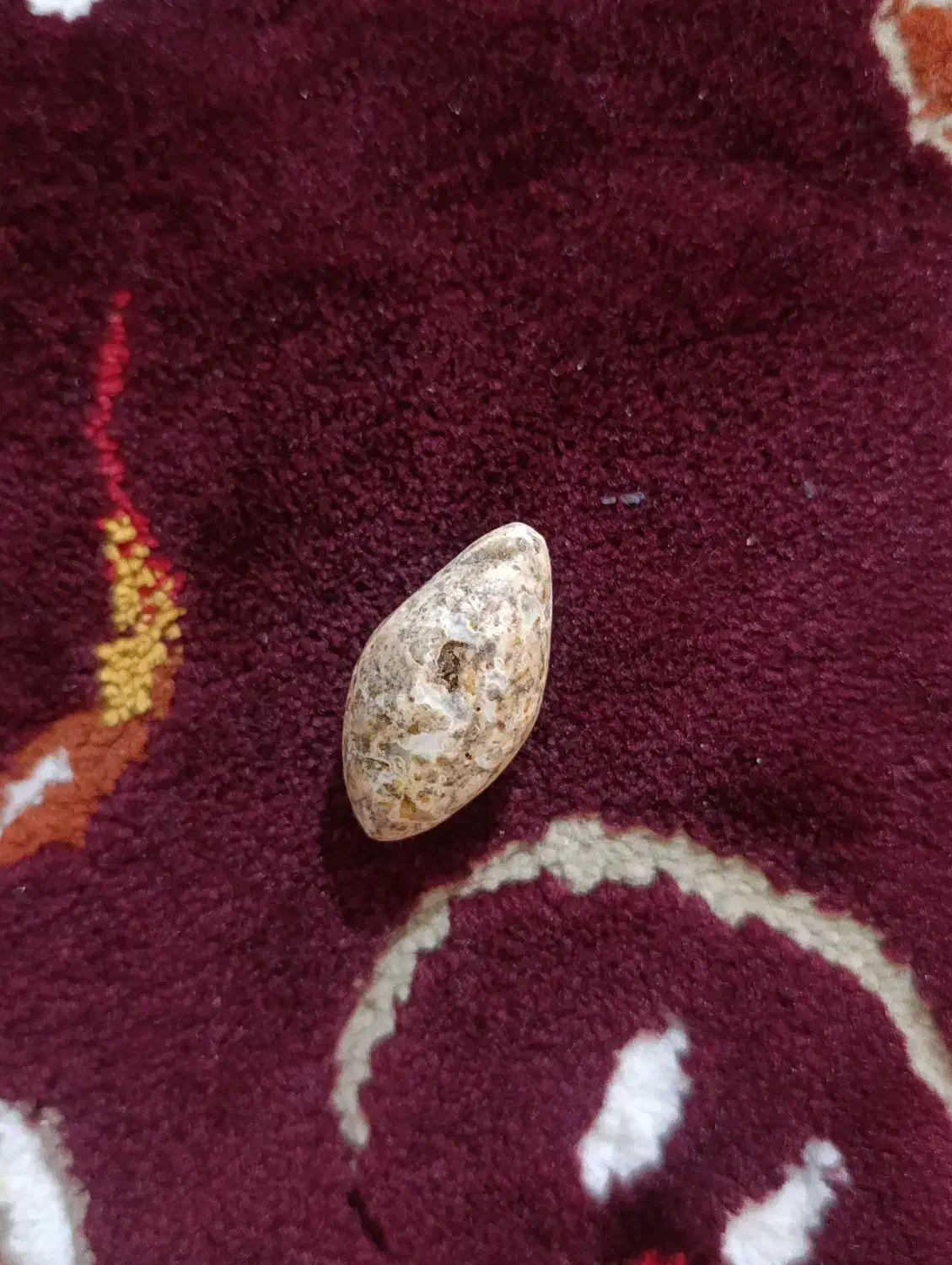 پیام بدین|کلکسیون و سرگرمی|بندر ماهشهر, |دیوار