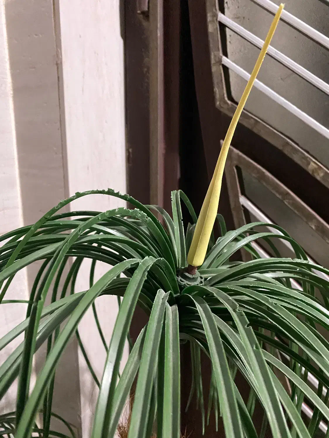 گل مصنوعی ،ابچکان|گل و گیاه طبیعی|بیرجند, |دیوار