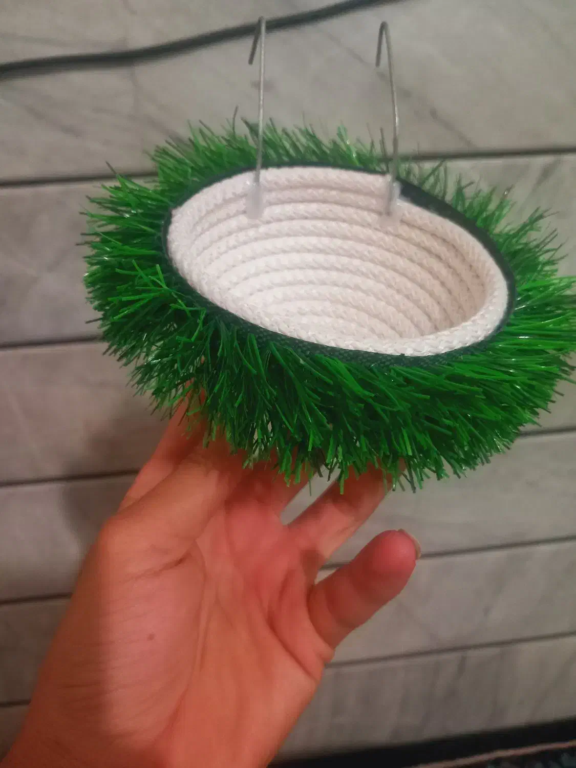 سیره|پرنده|خمینیشهر, |دیوار