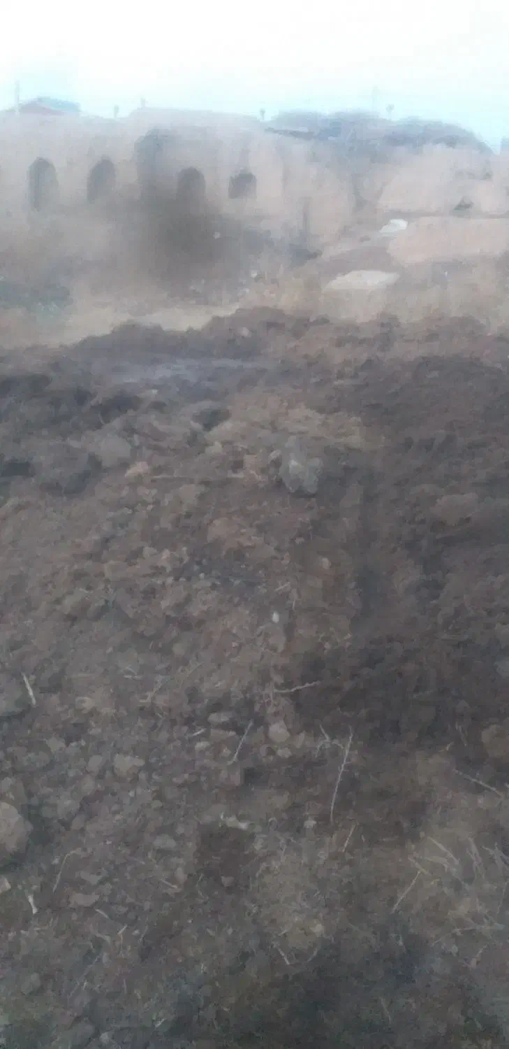 کودحیوانی‌پهن|عمده‌فروشی|دشتابی, |دیوار