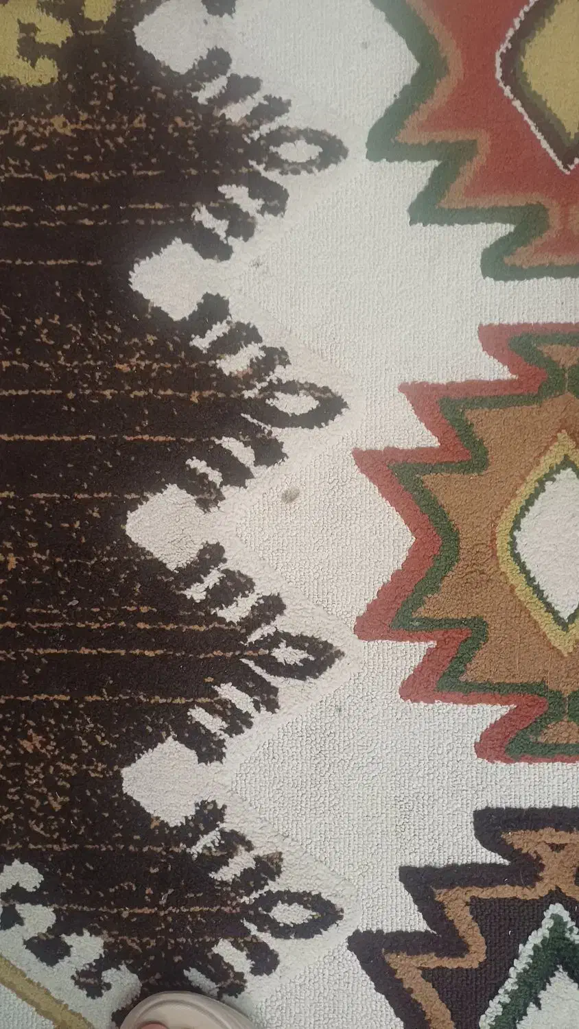 گلیم فرش|گلیم، جاجیم، گبه|کرج, حیدرآباد|دیوار