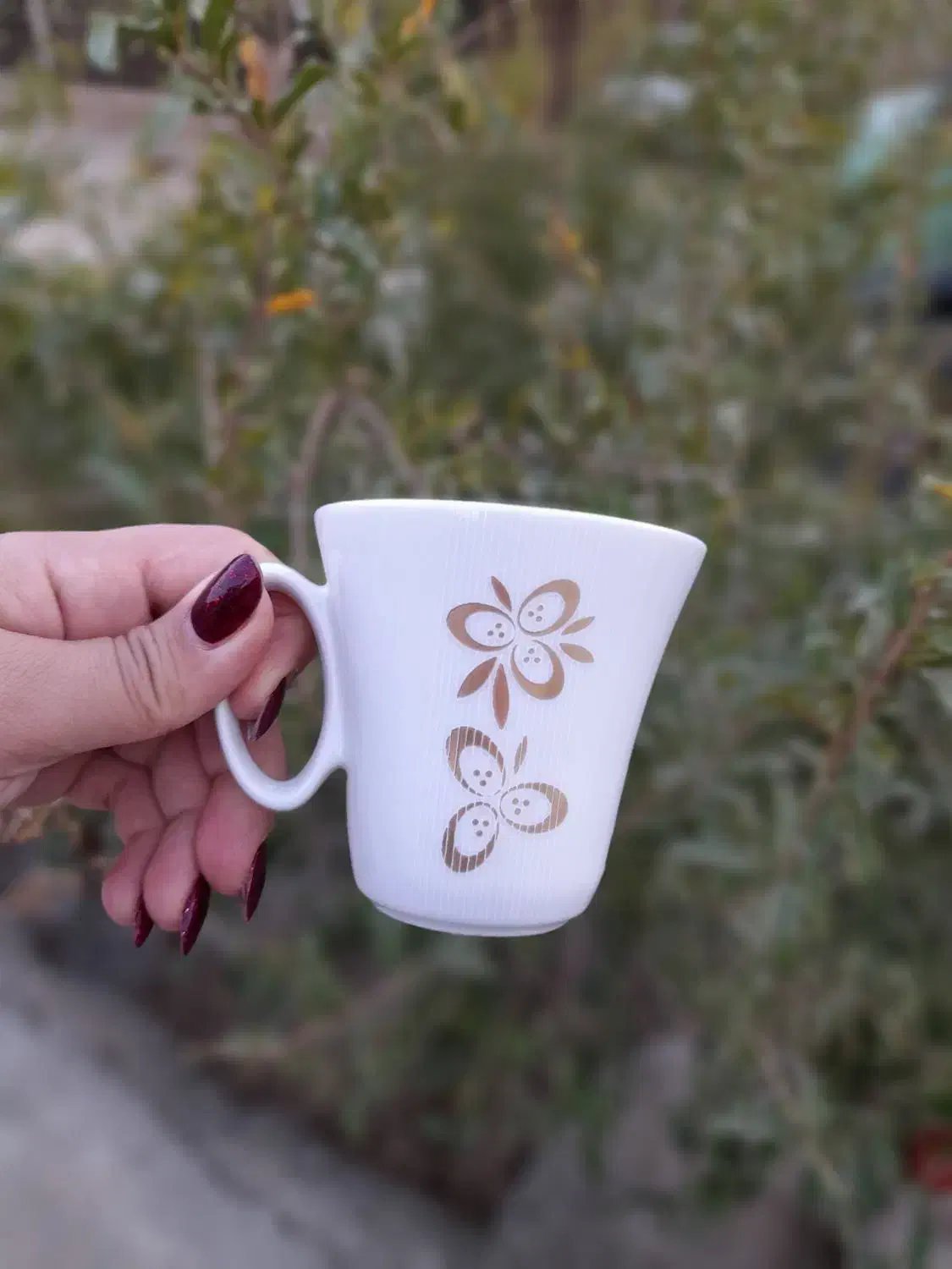 سرویس چینی ۶ نفره همراه با صبحانه خوری کامل|ظروف سرو و پذیرایی|سرپل ذهاب, |دیوار