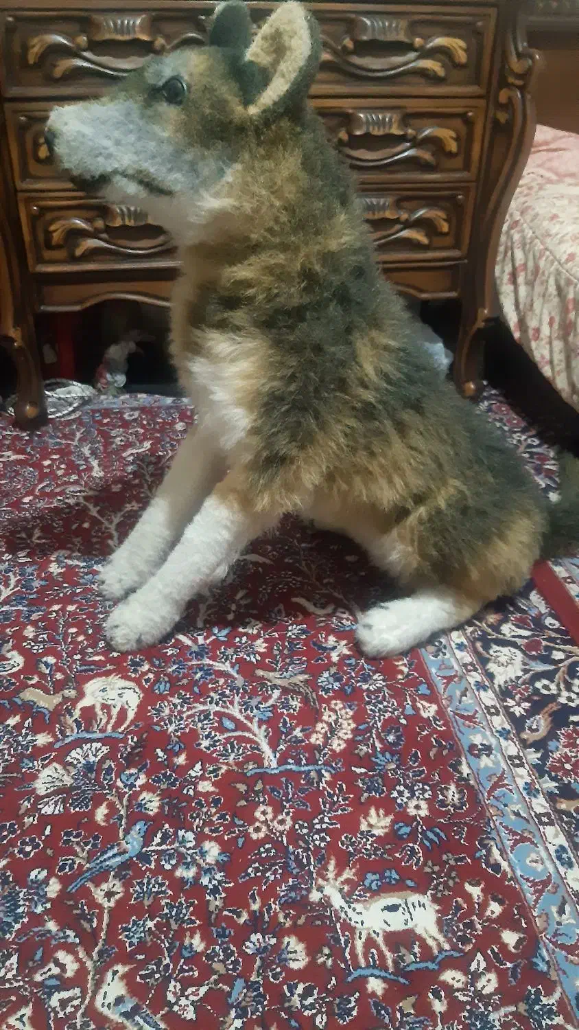 عروسک گرگ پلیشی سایز بزرگ|اسباب‌‌بازی|کرمانشاه, |دیوار