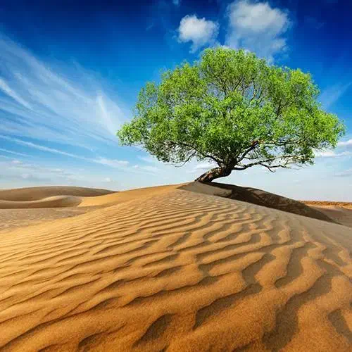 راهنمایی|فعالیت داوطلبانه|مبارکه, |دیوار