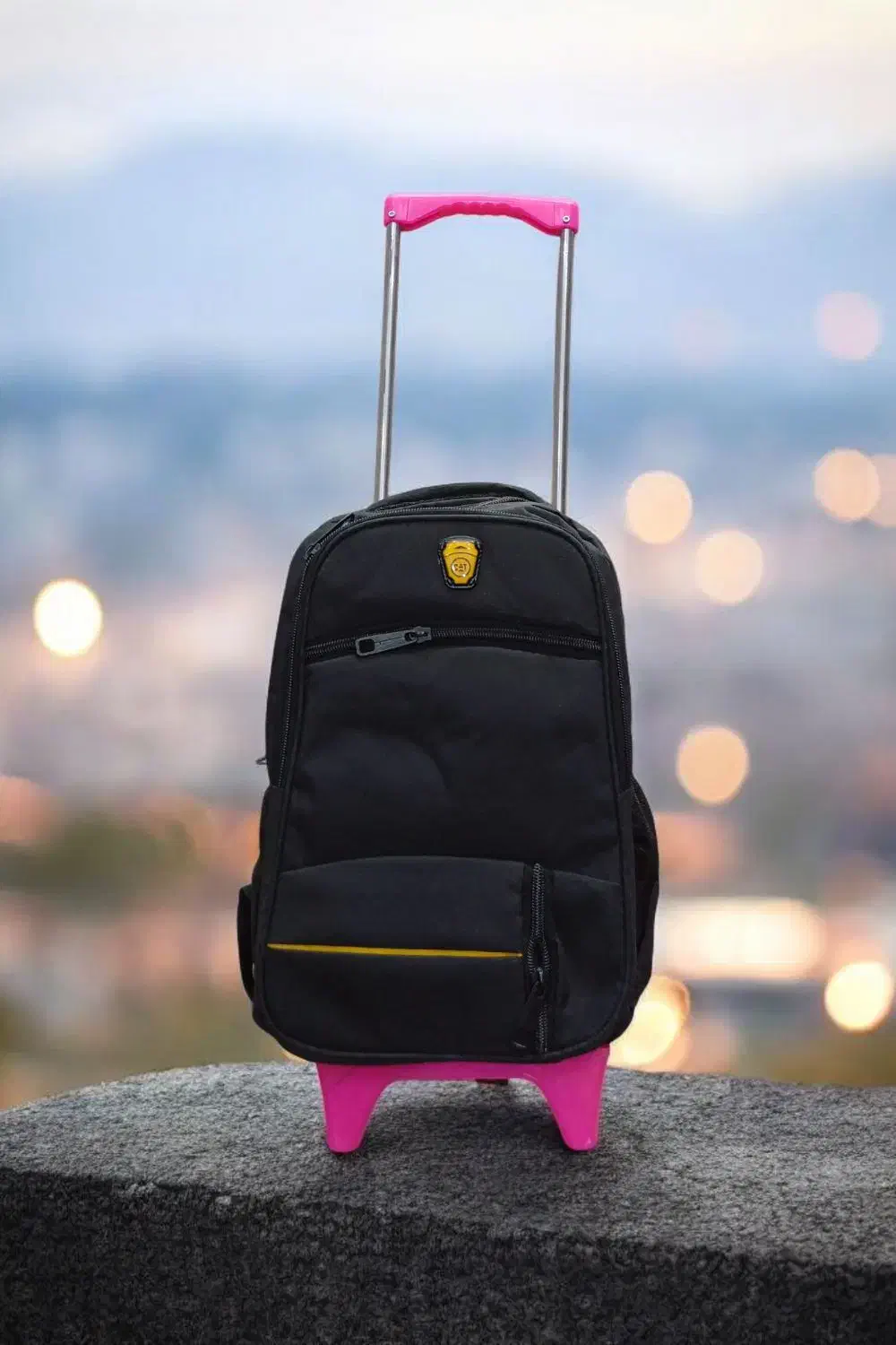 چرخ دستی کوله پشتی|کیف، کفش، کمربند|آمل, |دیوار