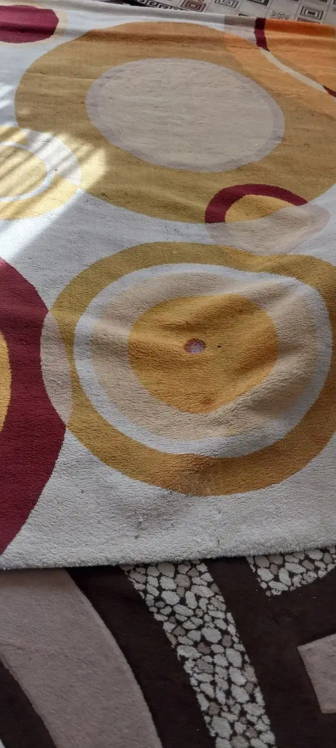 قالی گلیم|گلیم، جاجیم، گبه|اهواز, فاز ۲ پادادشهر|دیوار