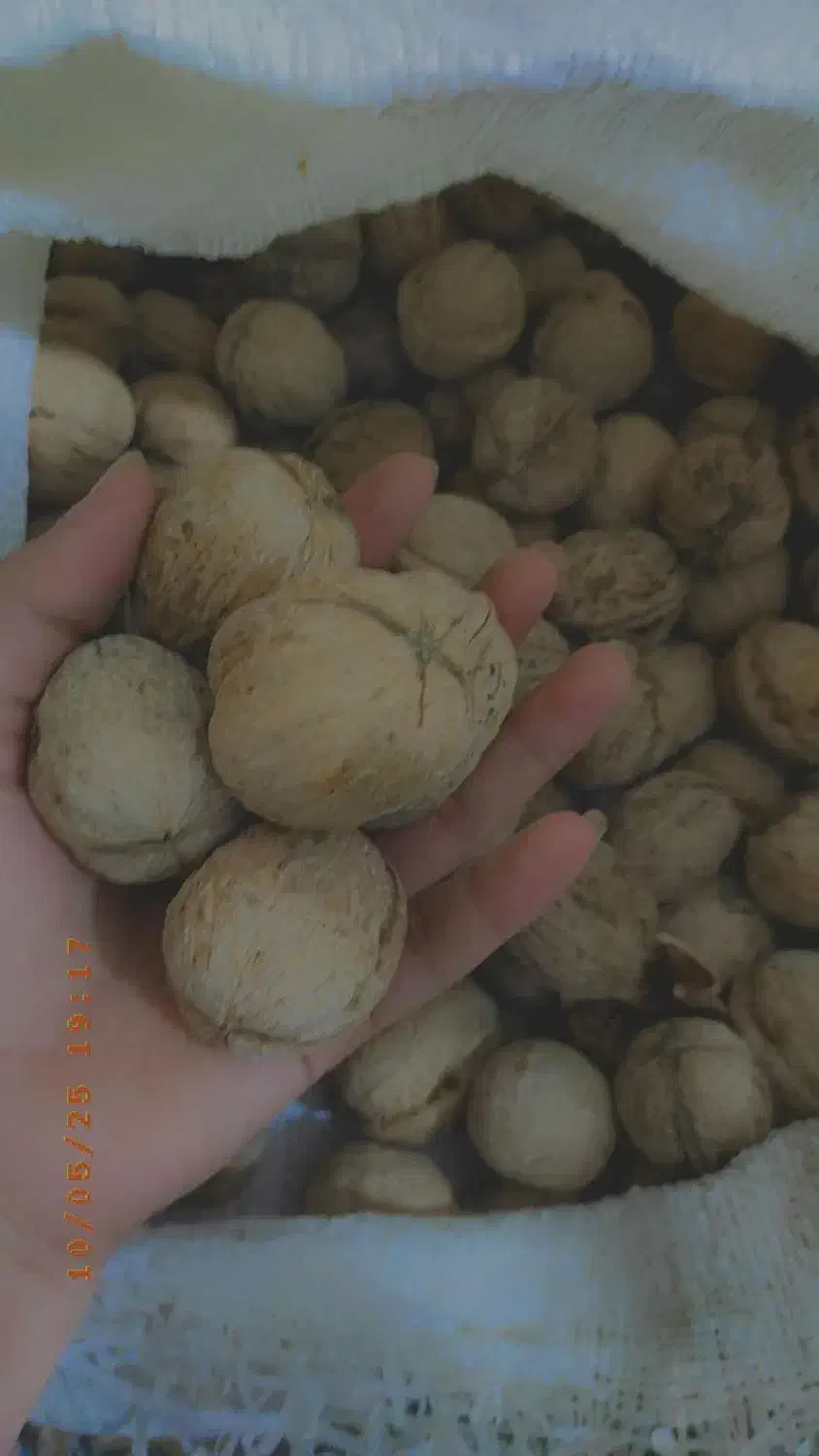 مغز گردو بوانات بشرط با چربیت بالا|خوردنی و آشامیدنی|مرودشت, ثبت احوال|دیوار