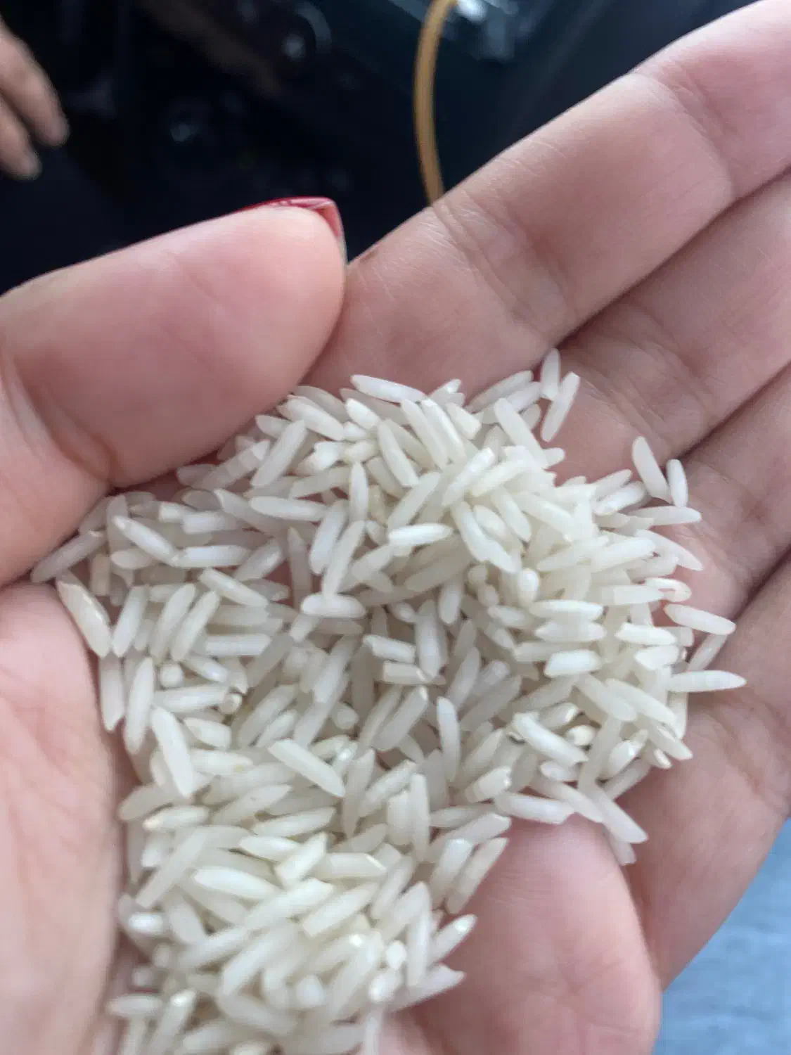 برنج هاشمی|خوردنی و آشامیدنی|رشت, حافظ آباد|دیوار