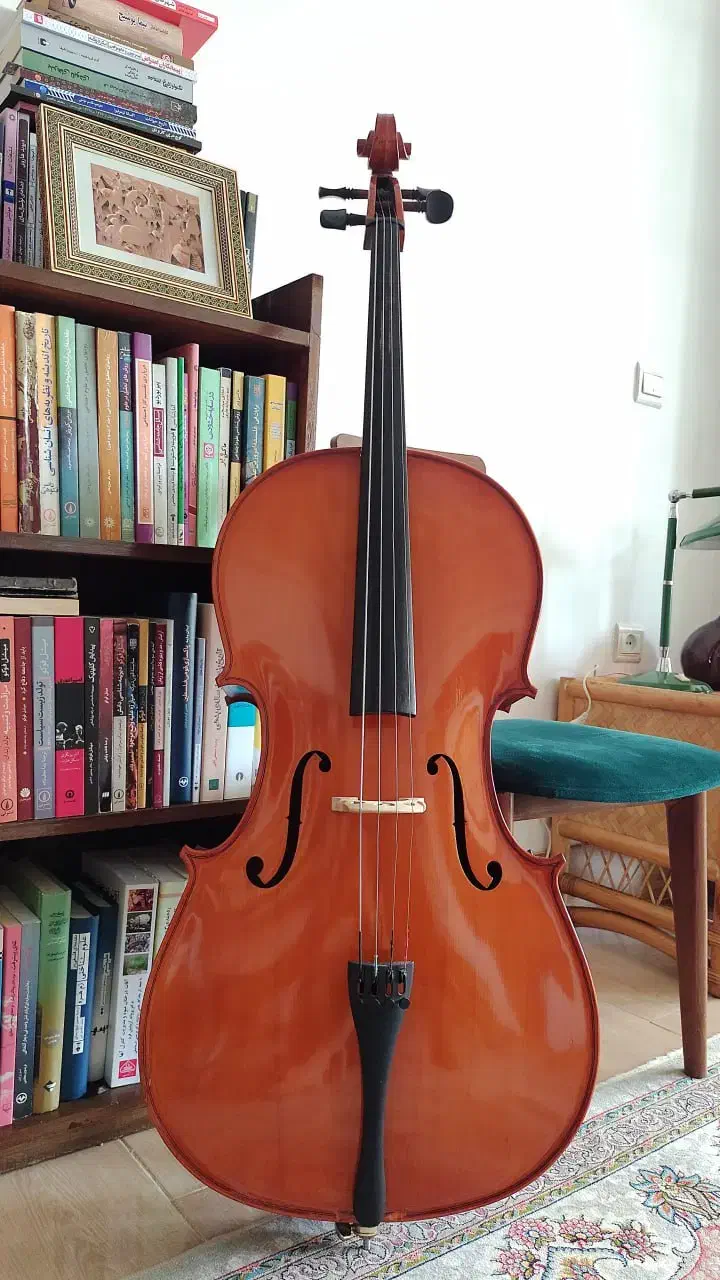 فروش ویولنسل تی اف 132 سایز 4/4|ویولن|بابل, |دیوار