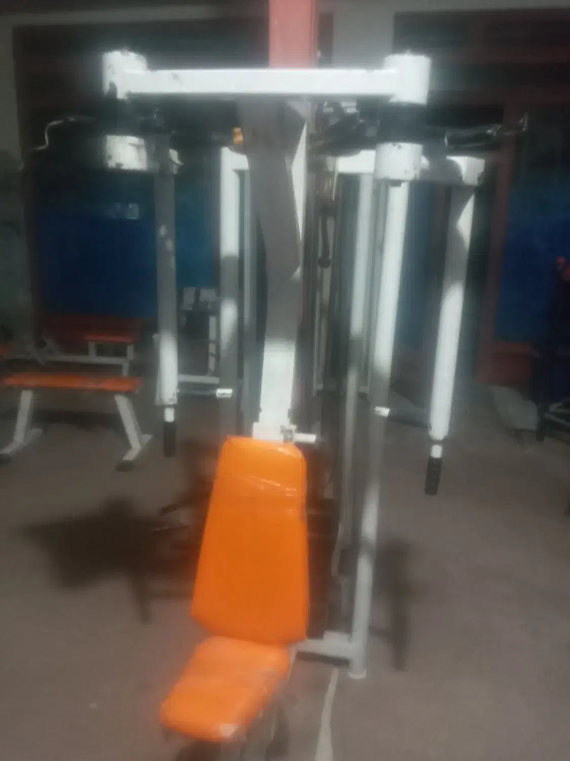 باشگاه بدنسازی ورزشی|تجهیزات ورزشی|سراجو, |دیوار