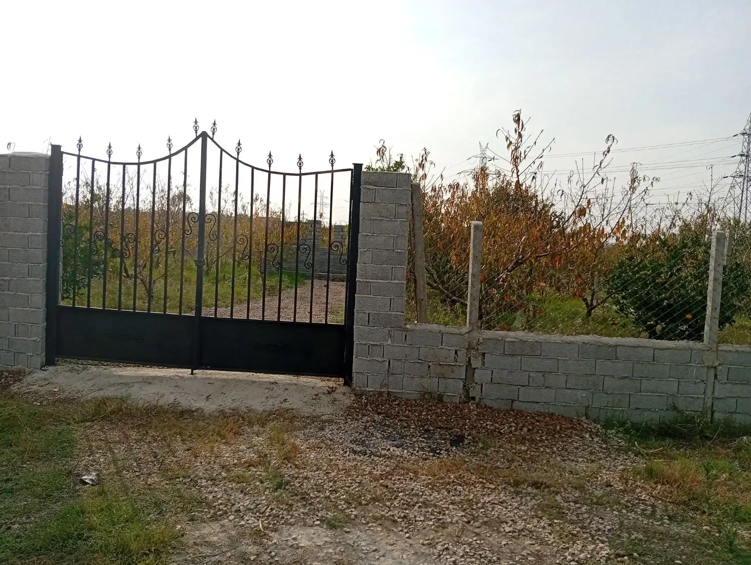 ۳۵۰متر باغ در ساری کنار تجهیزات مدارس طاهرده|فروش زمین و ملک کلنگی|ساری, |دیوار