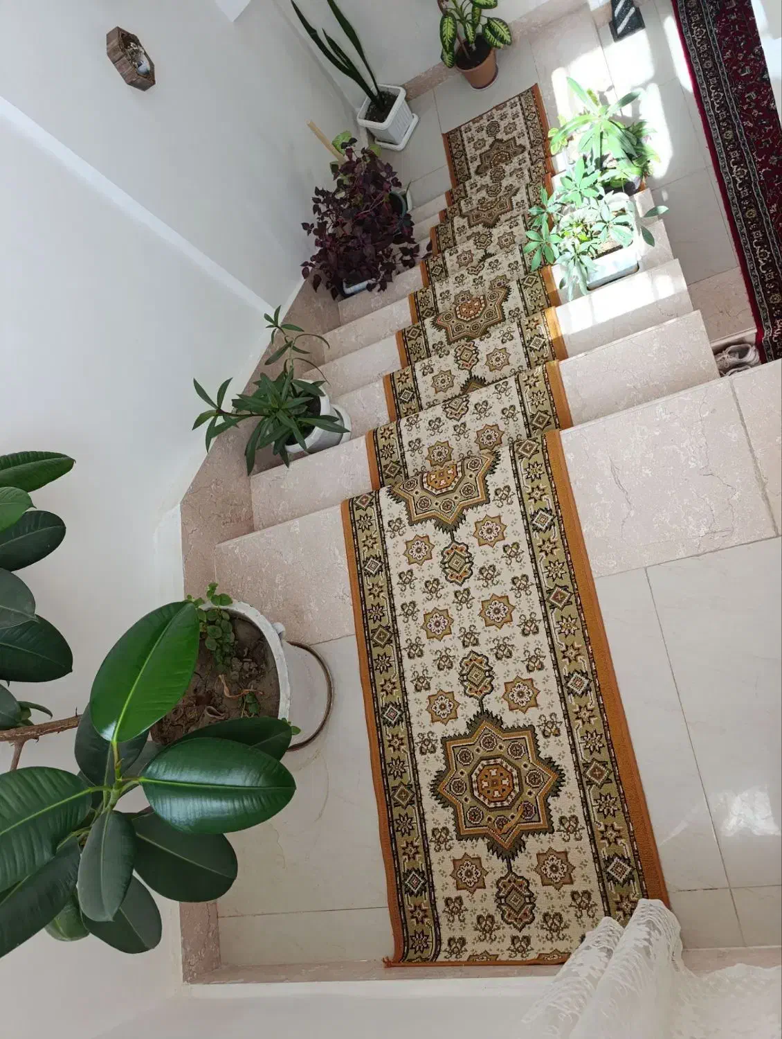 فرش پله راهرو|گلیم، جاجیم، گبه|ارومیه, |دیوار