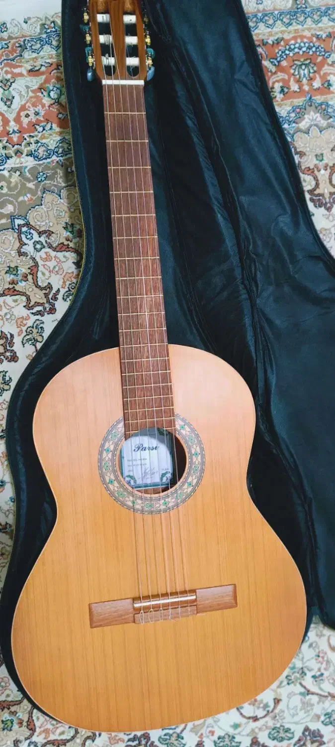 گیتار پارسی P80|گیتار، بیس، امپلیفایر|دلیجان, |دیوار