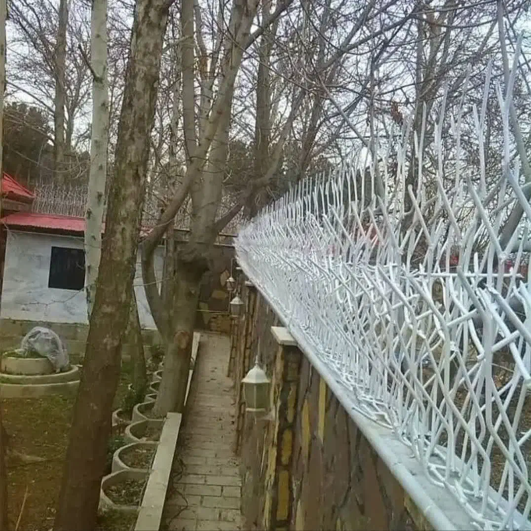 اجرای حفاظ|خدمات پیشه و مهارت|آبسرد, |دیوار