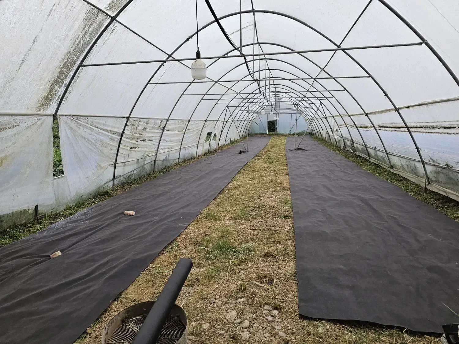 سرایدار و باغبان|استخدام سرایداری و نظافت|شفت, |دیوار