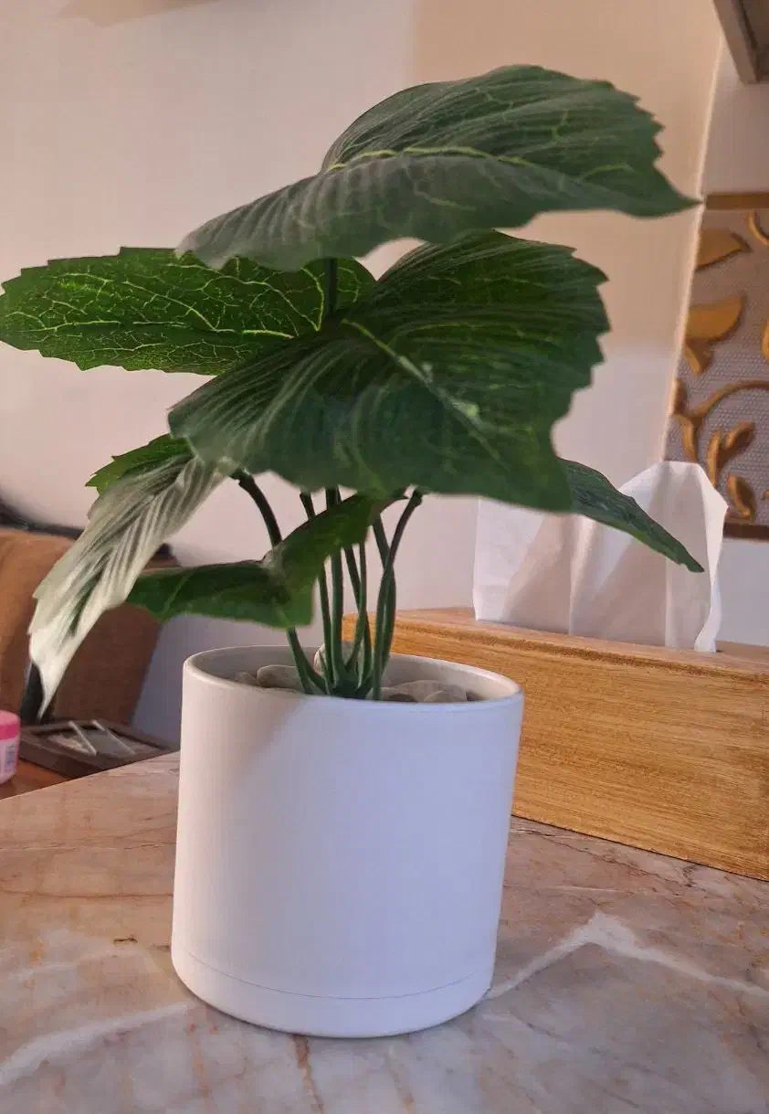 دکوری|صنایع دستی و سایر لوازم تزئینی|مشهد, امامیه (شهرک غرب)|دیوار