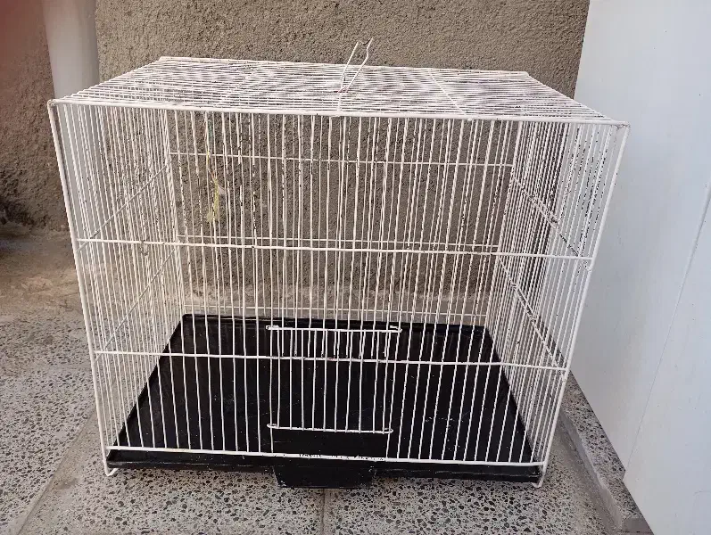 قفس بزرگ|لوازم جانبی حیوانات|تربت جام, مسکن مهر|دیوار