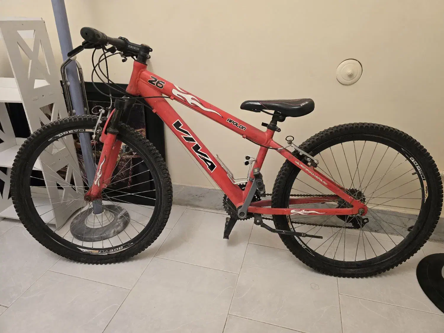 دوچرخه|دوچرخه، اسکیت، اسکوتر|اصفهان, سنبلستان|دیوار