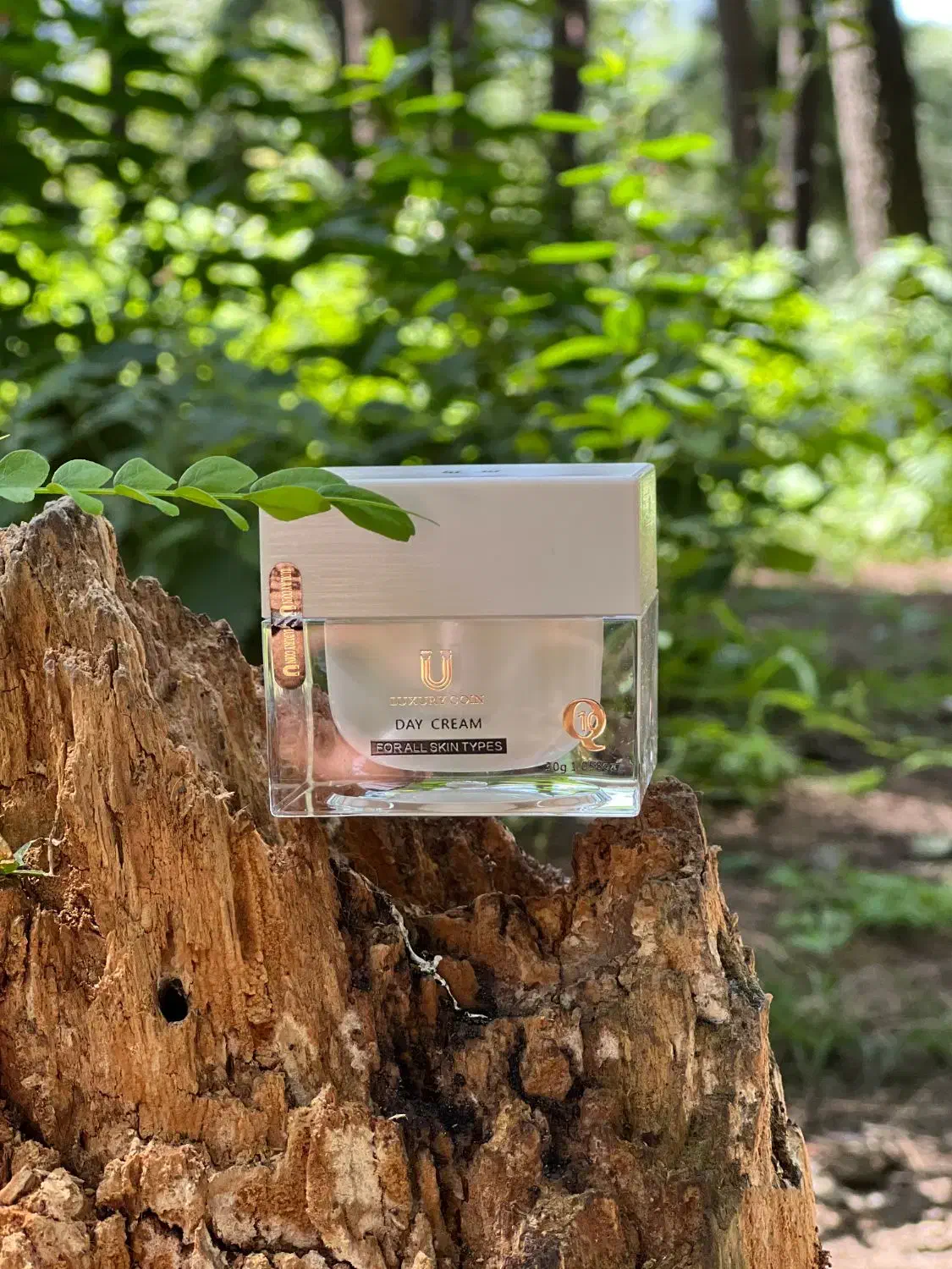 کرم های ۱۰کاره|آرایشی، بهداشتی، درمانی|رشت, منظریه|دیوار