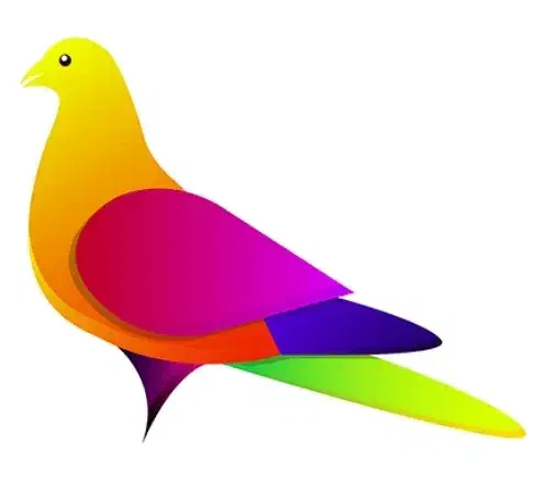 کبوتر پیداشده|حیوانات|بابلسر, |دیوار