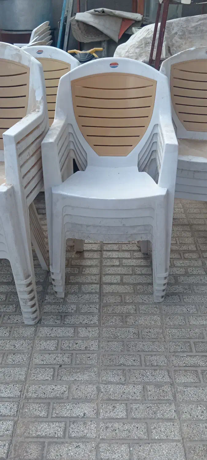 صندلی|میز و صندلی غذاخوری|تربت‌حیدریه, کلاته توکلی|دیوار