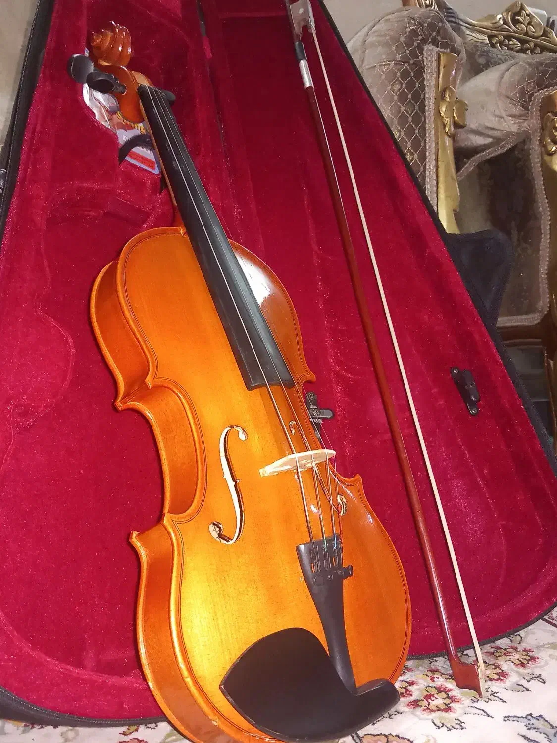 فروش ویولن 100. 4/4 همراه وسایلش|ویولن|کارون, |دیوار