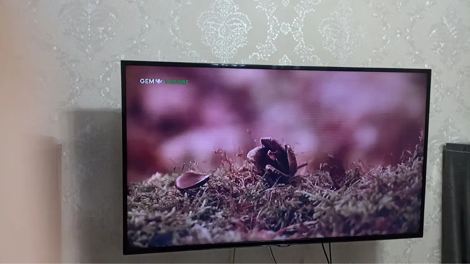 تلویزیون|تلویزیون و پروژکتور|آستارا, |دیوار