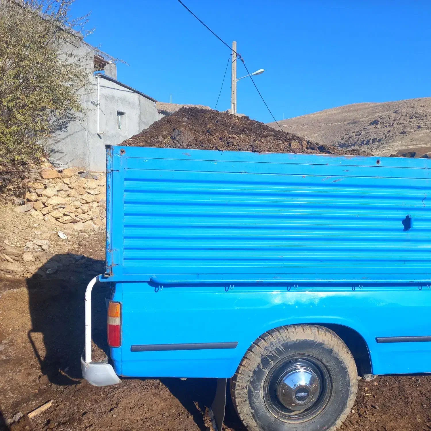 کود حیوانی گوسفندی|خدمات باغبانی و درختکاری|سنندج, |دیوار