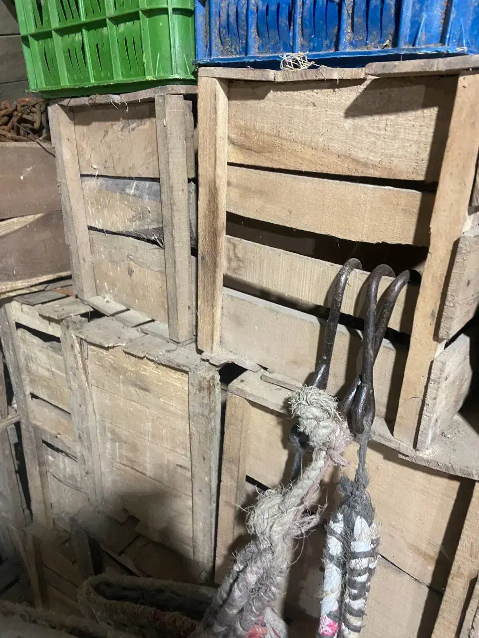 جعبه پرتقال چوبی|عمدهفروشی|واجارگاه, |دیوار