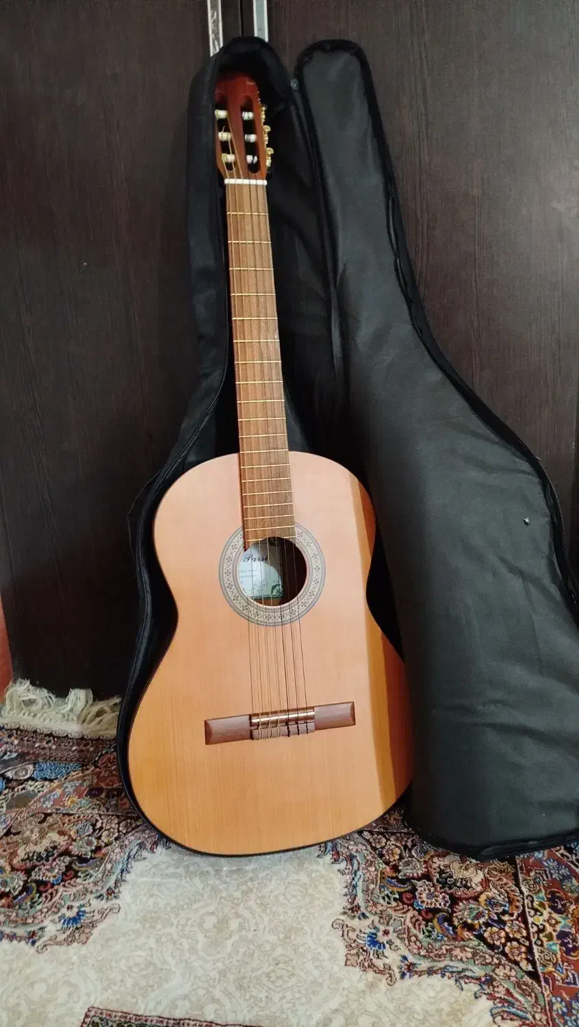 گیتار پارسی|گیتار، بیس، امپلیفایر|گلبهار, شهر جدید گلبهار|دیوار