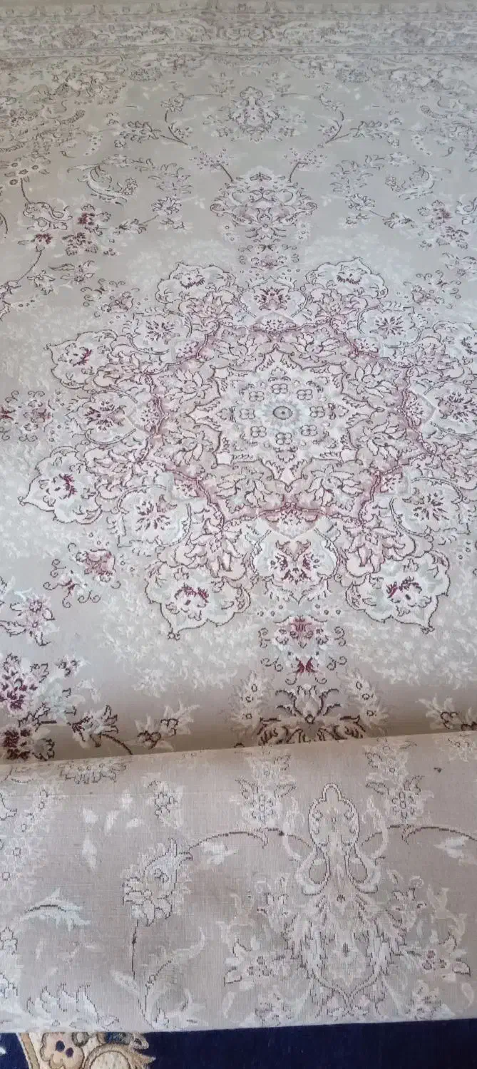 فرش ماشینی ۱۲ متری|فرش|همدان, |دیوار