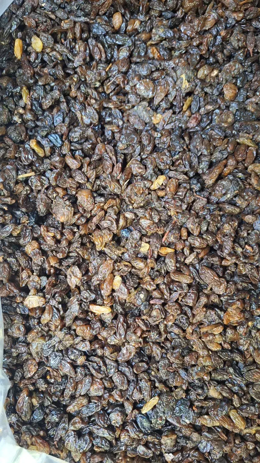 کشمش افتابی اعلا قیمت مناسب|خوردنی و آشامیدنی|یزد, |دیوار