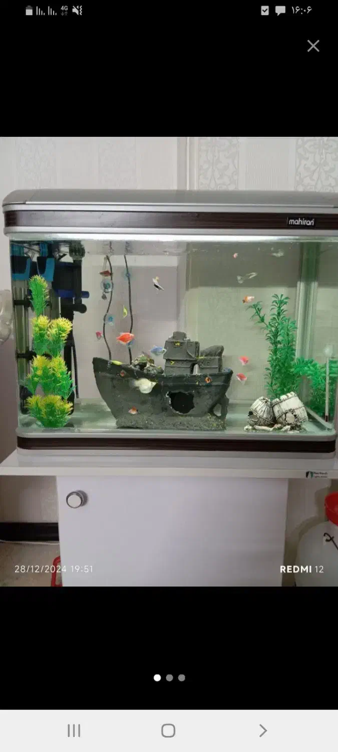 ماهی|ماهی|تهران, شهرک رضویه|دیوار