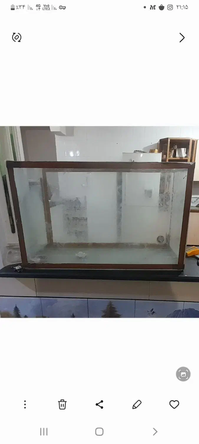 آکواریوم|ماهی|ایذه, |دیوار