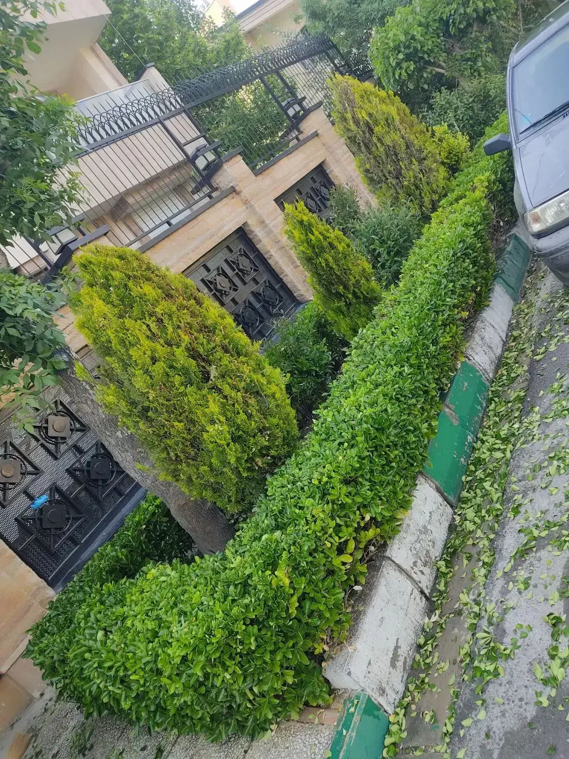 خدمات فضای سبز و باغبانی تمام نقاط تهران و کرج|خدمات باغبانی و درختکاری|تهران, یوسفآباد|دیوار