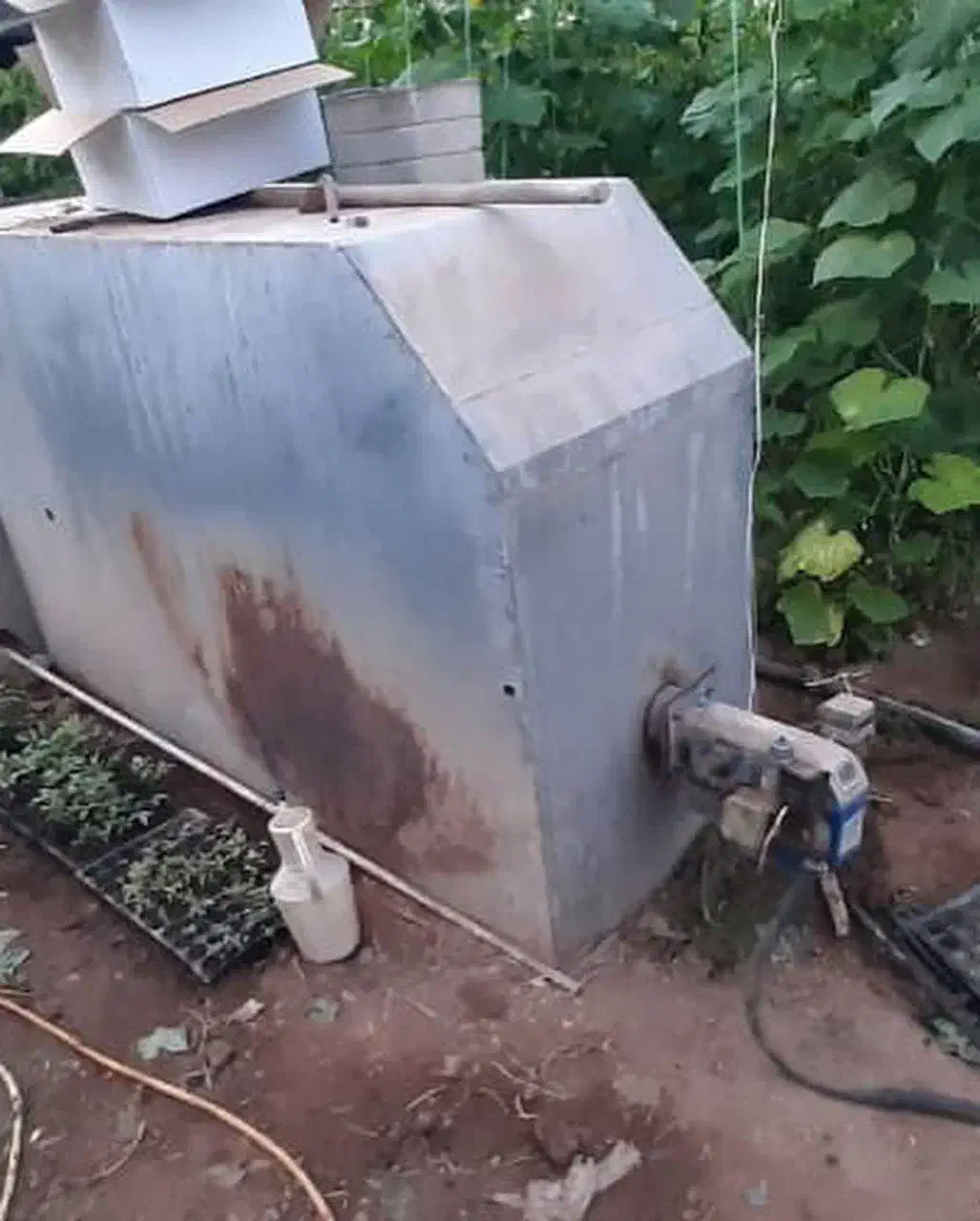 فروش گلخانه|فروش دفتر صنعتی، کشاورزی، تجاری|سمنان, |دیوار