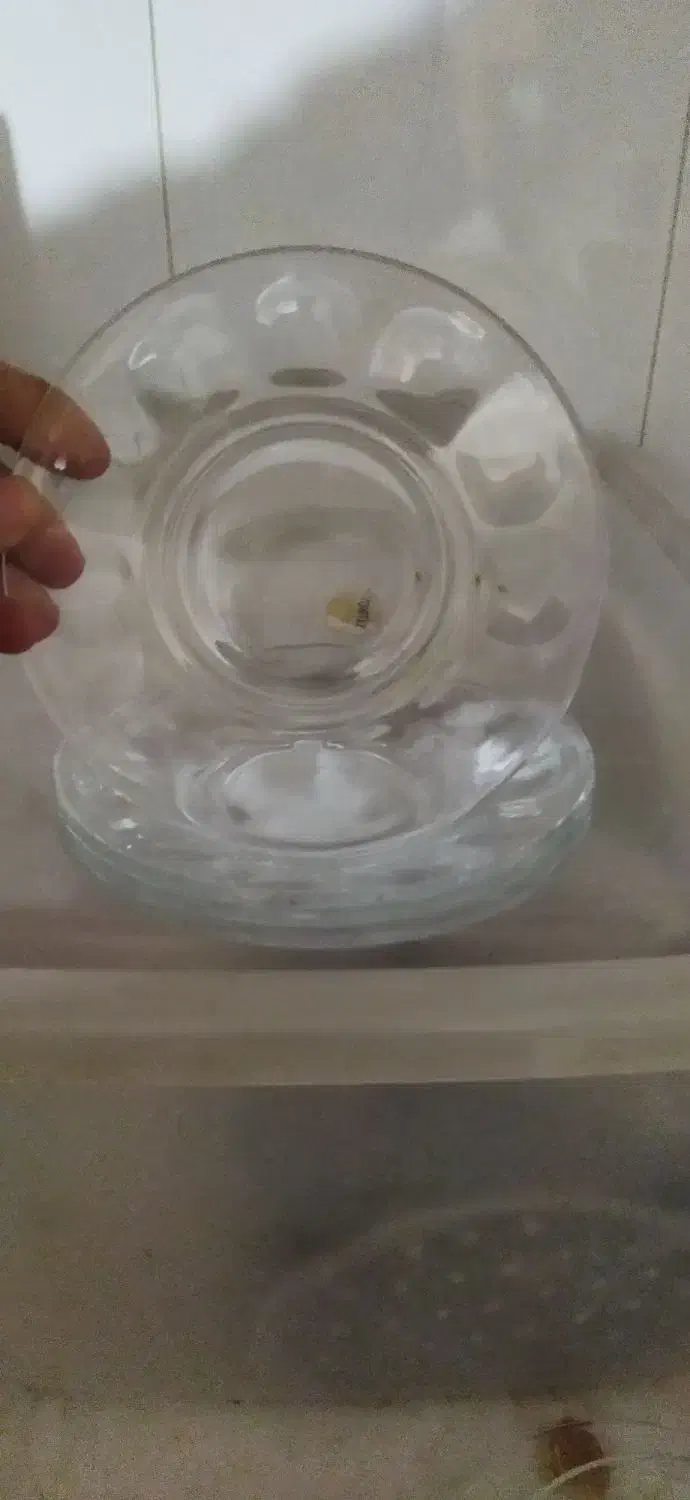 وسایل قدیمی|کلکسیون اشیاء عتیقه|قزوین, |دیوار