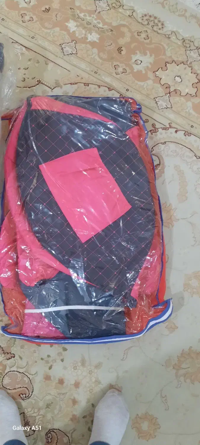 کالسکه دلیجان|کالسکه و لوازم جانبی|چهارباغ, |دیوار