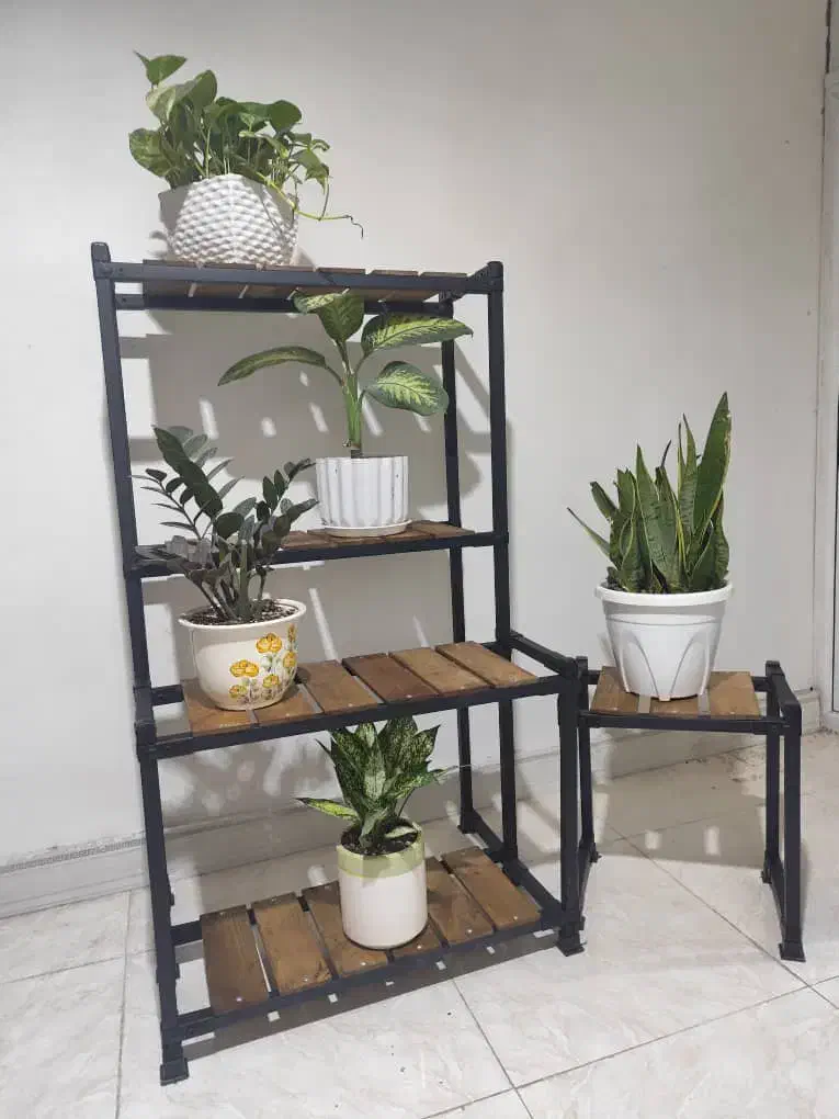 رگال لباس|بندرخت و رخت‌آویز|بندرعباس, |دیوار