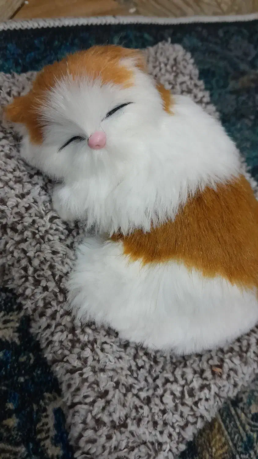 عروسک|اسباب‌بازی بچه|تهران, شهرک ابوذر|دیوار