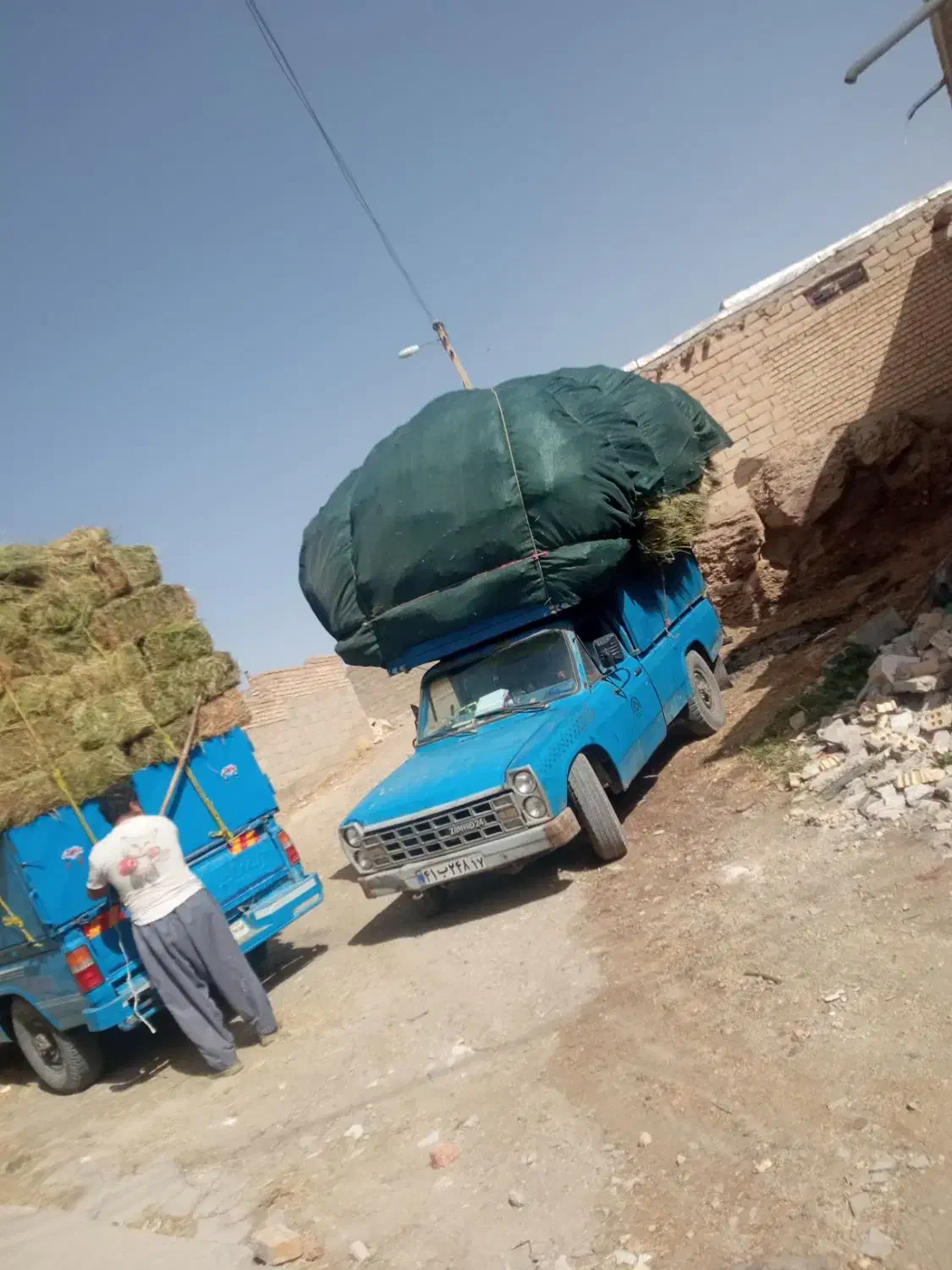 علوفه|لوازم جانبی حیوانات|تکاب, |دیوار