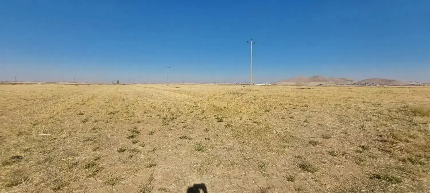 اجاره ۶ هکتار زمین مرغوب جا سیب وگندم|اجارهٔ دفتر صنعتی، کشاورزی، تجاری|قروه, |دیوار