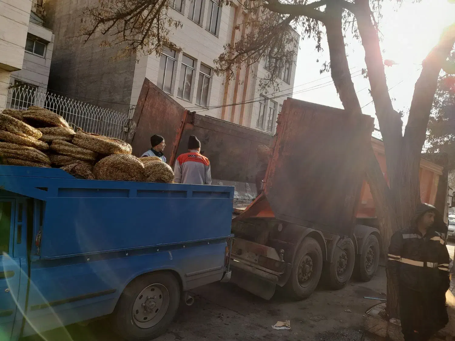 کشمش افتابی درگز ۱۹۰حراج|خوردنی و آشامیدنی|مشهد, عامل|دیوار