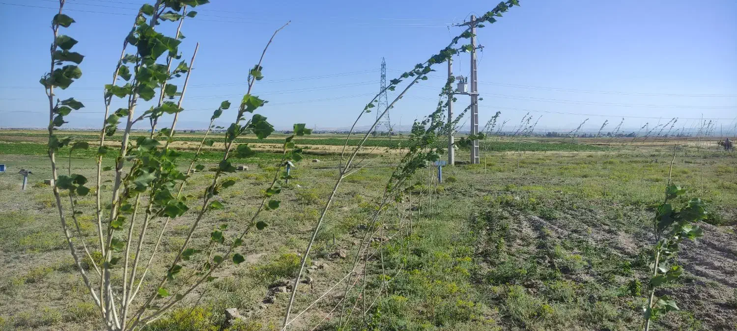 فروش فوری زمین|فروش زمین و ملک کلنگی|نمین, |دیوار