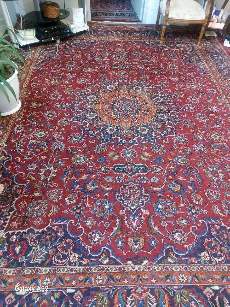 قالی دستی|فرش|مشهد, نوفل لوشاتو|دیوار