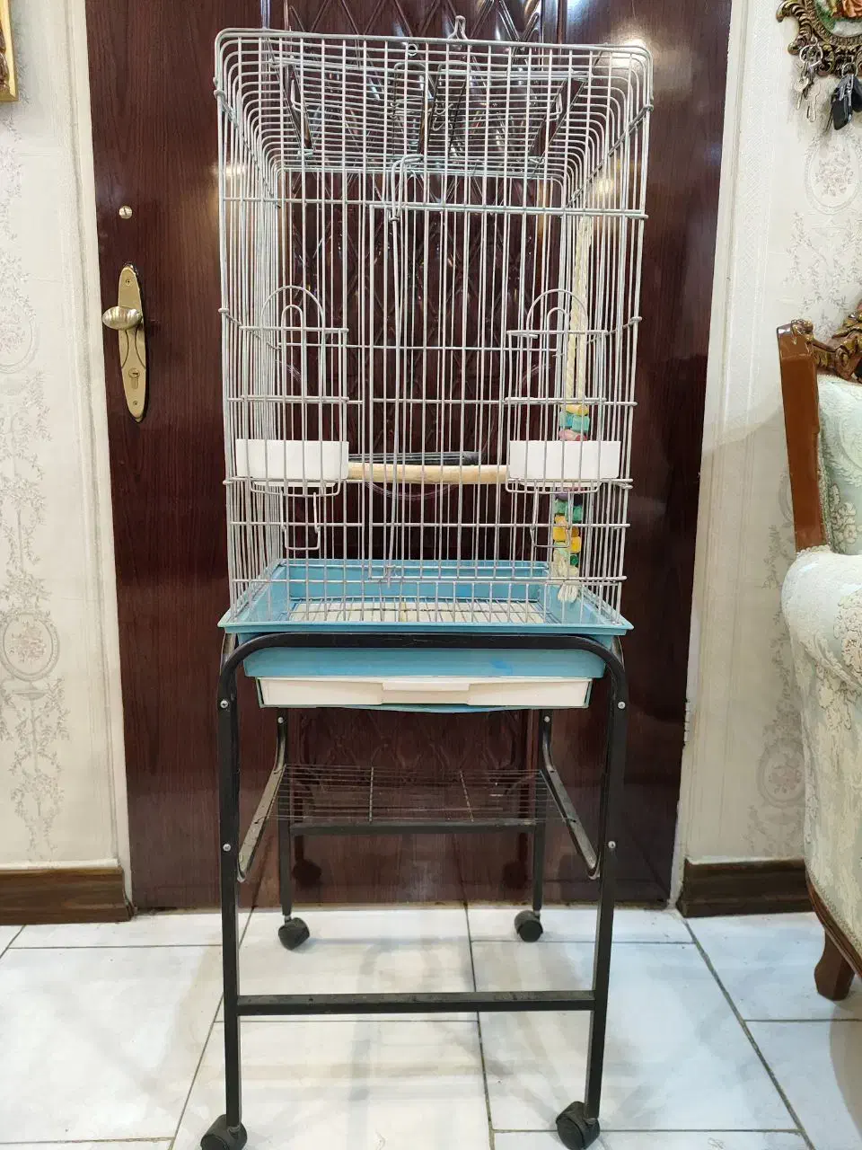 قفس پرنده میله ها محکم در حد نو|لوازم جانبی حیوانات|ری, شهید غیوری (ابن باویه)|دیوار