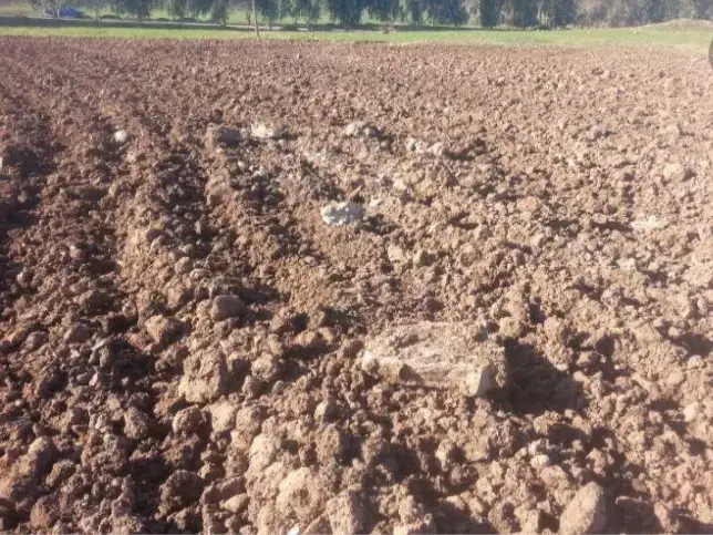 فروش زمین کشاورزی|فروش دفتر صنعتی، کشاورزی، تجاری|محلات, |دیوار