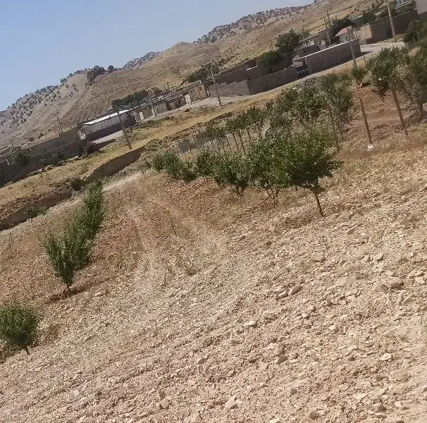 فروش زمین ملکشاهی (روستا قلعه جوق)|فروش زمین و ملک کلنگی|ملکشاهی, |دیوار