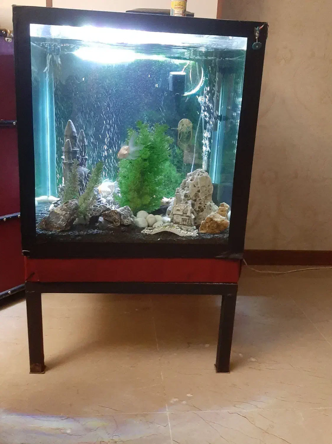 آکواریوم|ماهی|تهران, قیطریه|دیوار